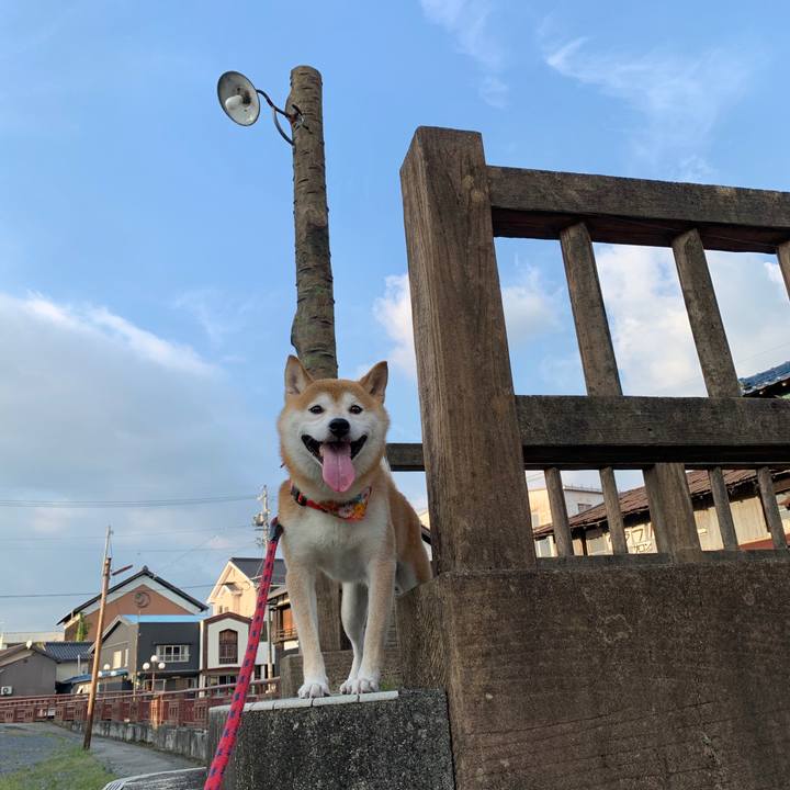 13422928 0e4a 4282 a707 adf2d8c58379 1598434128385