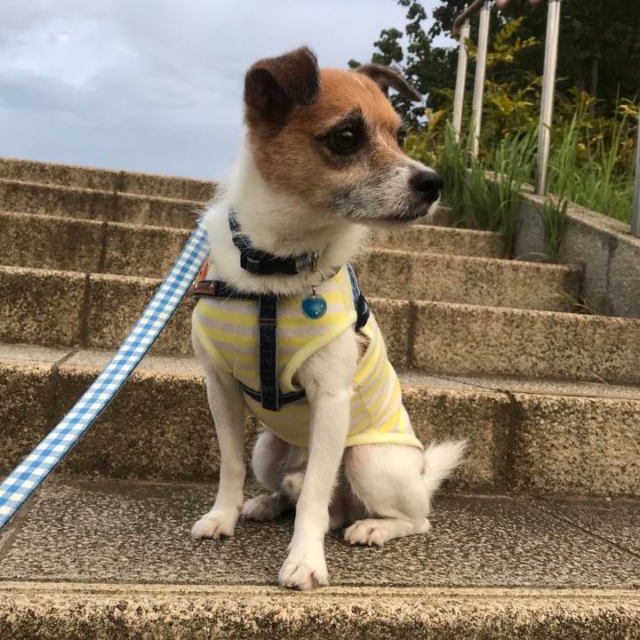 13426e43 f46d 4afa b7e6 71e9f1ffab1b 1536271520149