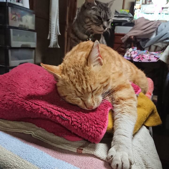 1342812a 9dba 490c 8173 ede5e8fd2f90 1556279945337