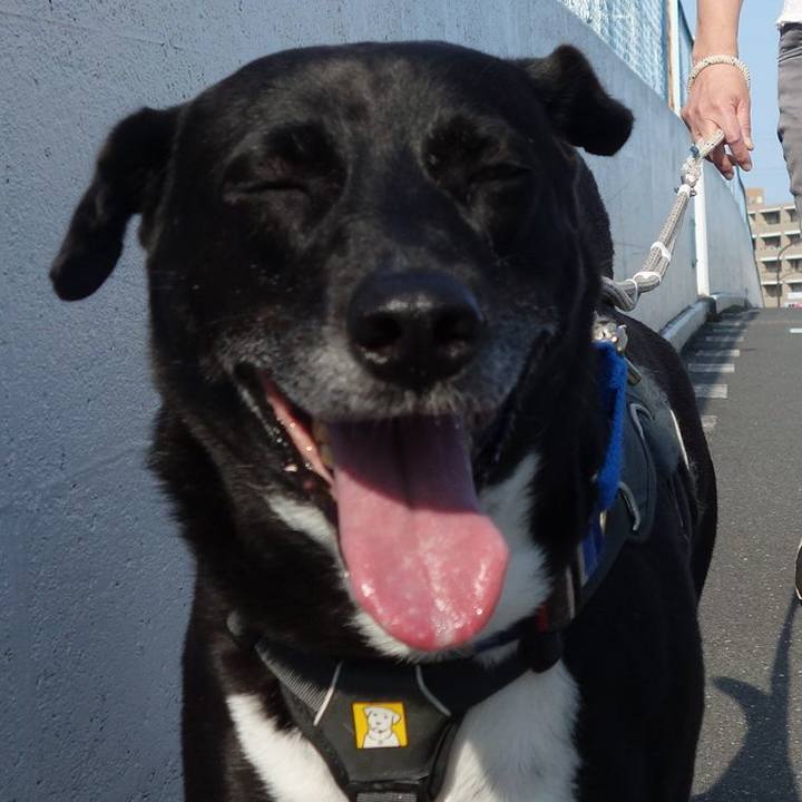 134286cc 893d 4bcb 9a5c ebfe91827197 1655600786008