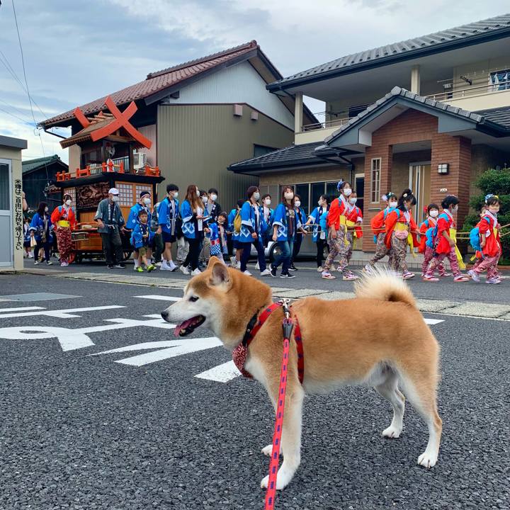 13429bc6 4fa8 41f3 835f 171a17d69b8b 1665217636396