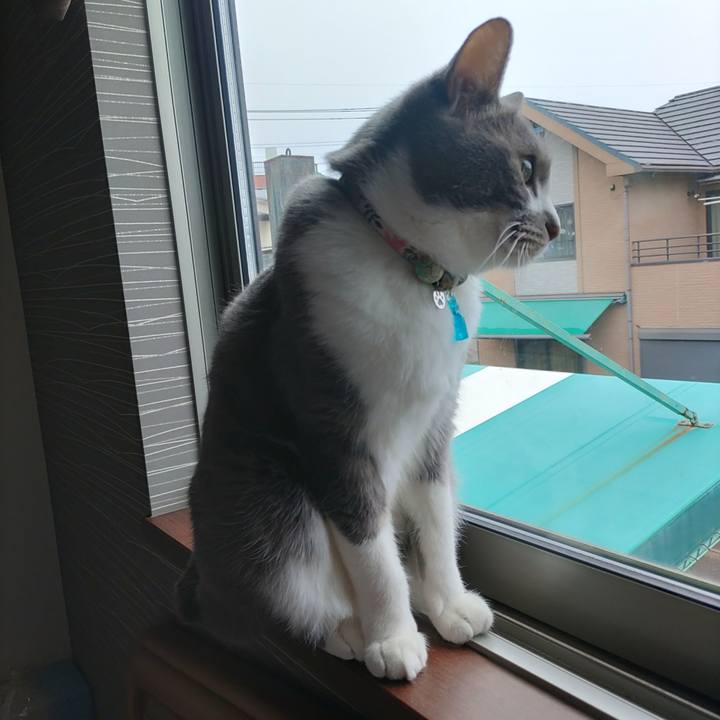 1342a791 785f 40ed 8492 2c42b1601679 1707006133744