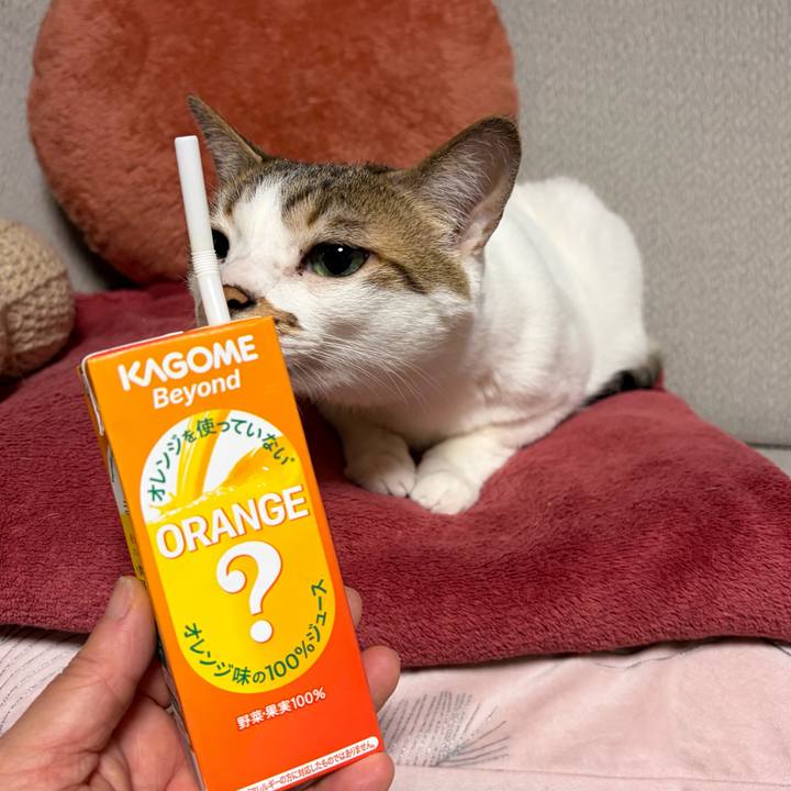 1342acd2 ee41 4673 a8e4 cac9a3d34c5a 1773355321793