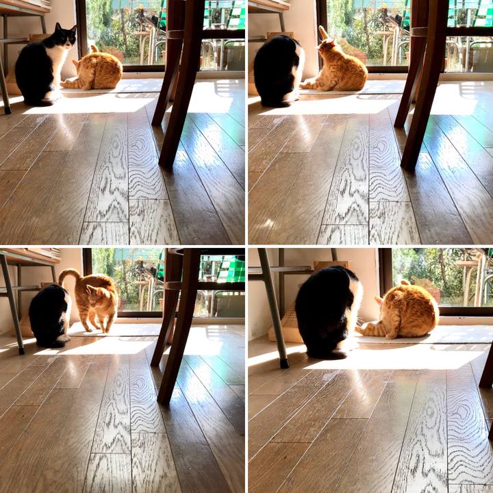 1342e390 b917 40b1 ac94 61f0b1806362 1512973559238