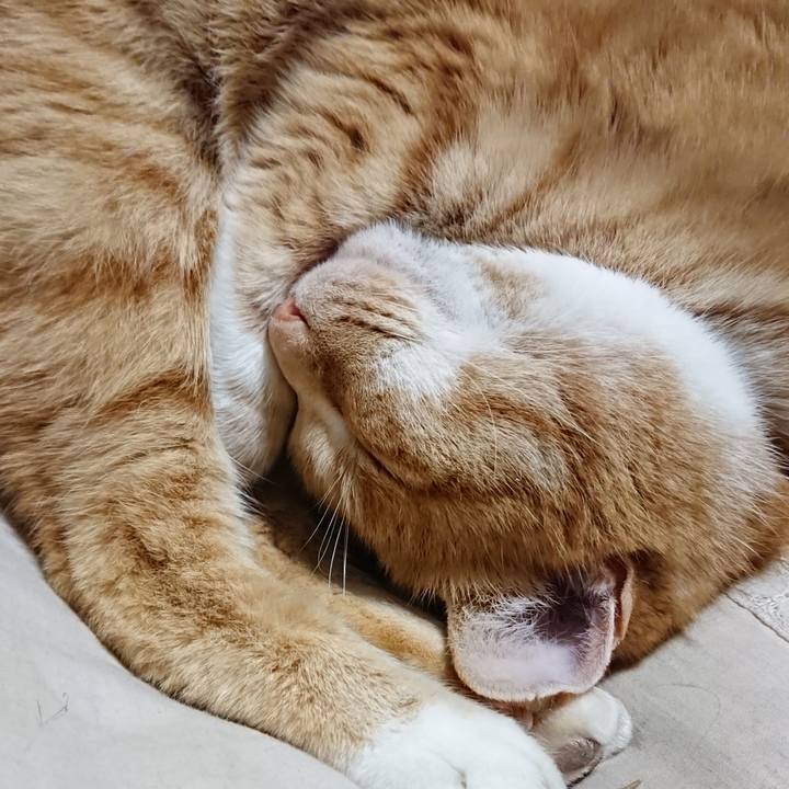 1342e6e1 5dbe 45c8 8cba b538260911b8 1608377315151