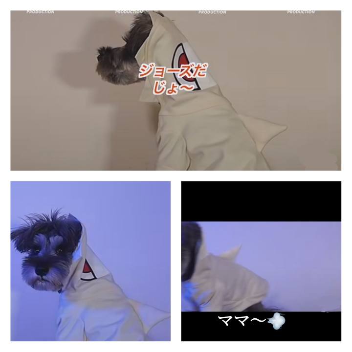 1342f702 8d39 467e 893b 3e281dda32d6 1699845788612