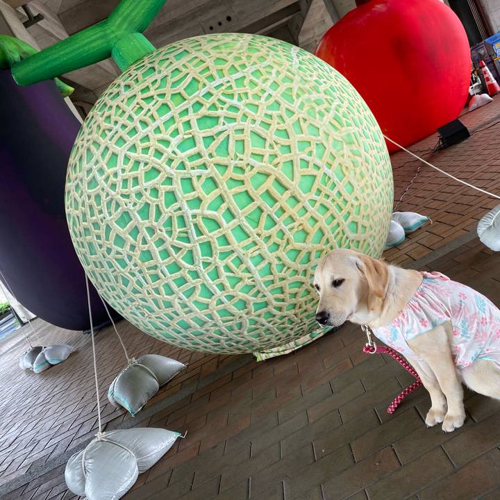 1342f755 0a70 4da4 9507 a31f7f3dce3a 1619700103011