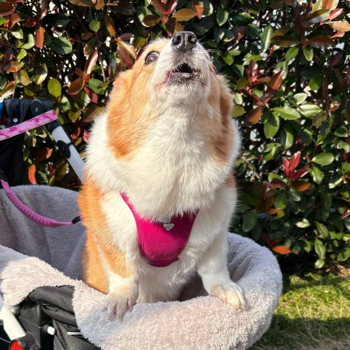 13430441 5402 4e88 bf43 2e740f6cb323 1738902875860