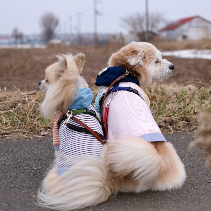 13432ae7 7279 4a43 af33 84734522214f 1774847526091