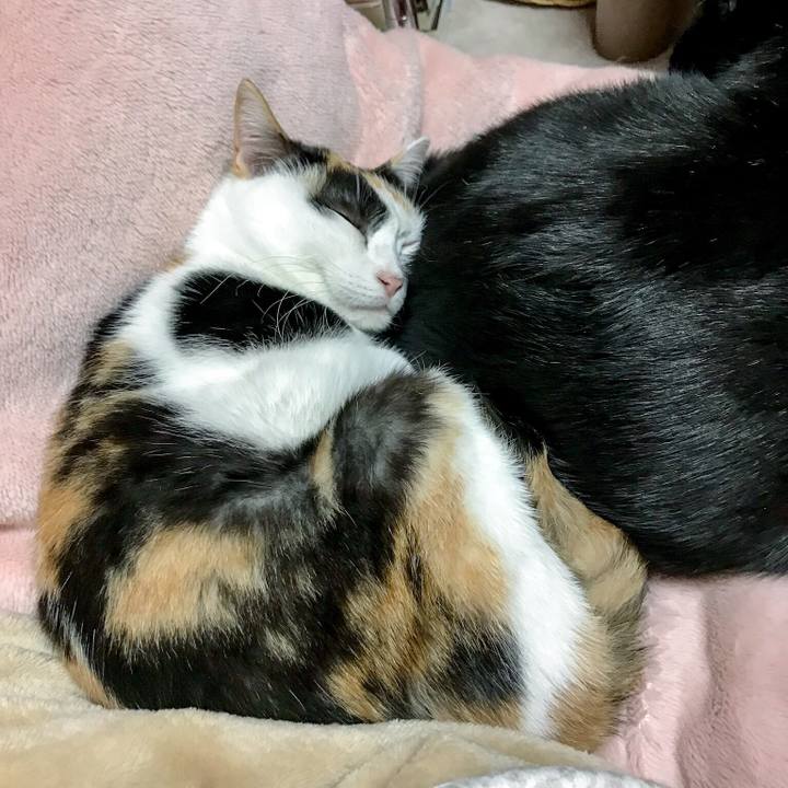 13434b2f 6d32 4a5a 8bcc fdda37cde53a 1511611484683