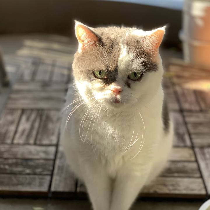 13437b63 b435 440c 9834 cf414078d1fd 1603523972434