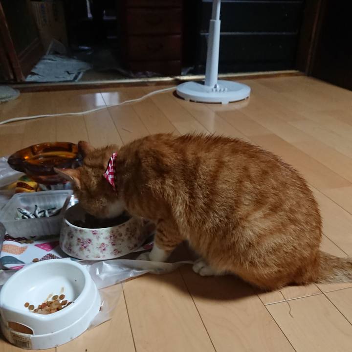 134394ad 10ac 4225 9d5d 8ea6040f091b 1597440726837