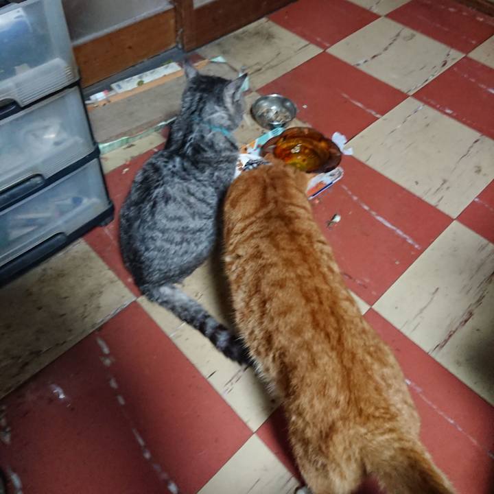 1343973c 454b 46fc b8f0 b16f9a382fd2 1575153295755