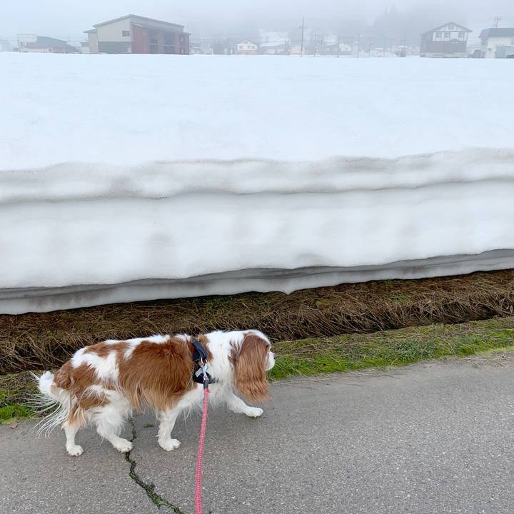 1344a49b 9c8c 43d9 8a45 6d9fc255c8e6 1616192497663