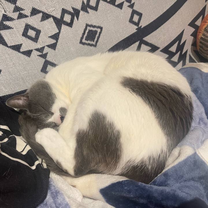 1344b758 6d3f 4624 a71c 5cf17d4b23d7 1679401965310