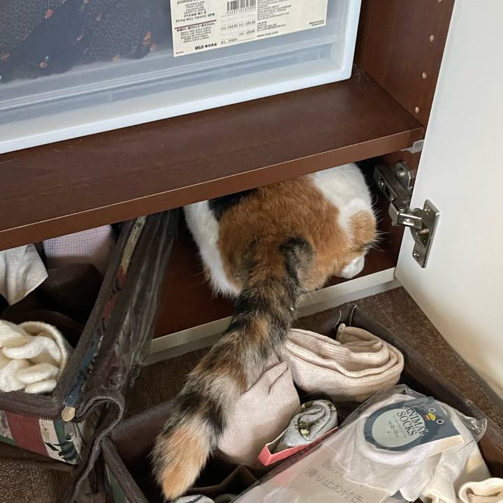 1344fdc4 9f10 4a51 b4da 4cf566b06674 1705448080856