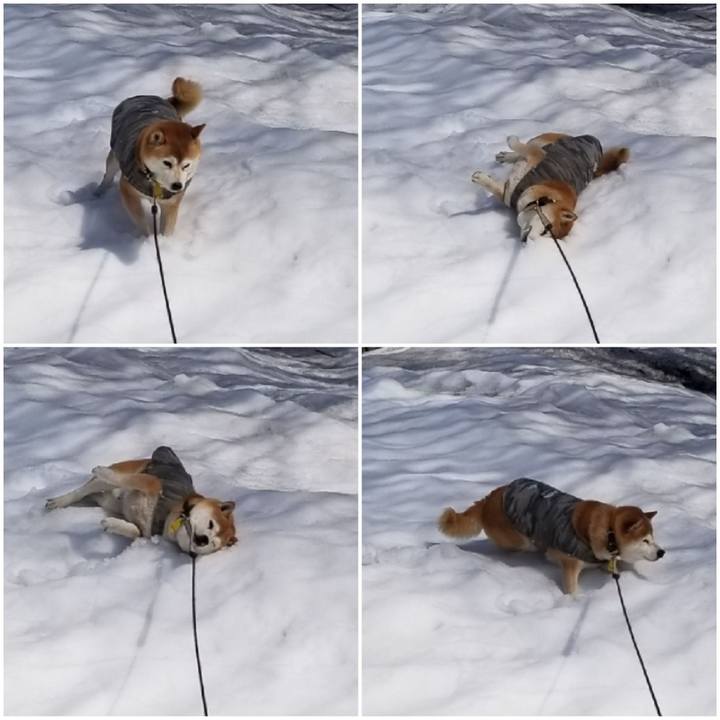 13450dfc b57e 4c91 9439 974511c869bd 1648105822909