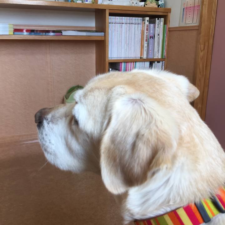 13453a2c 1338 4cd3 a878 5f2ded0fc054 1520996852188