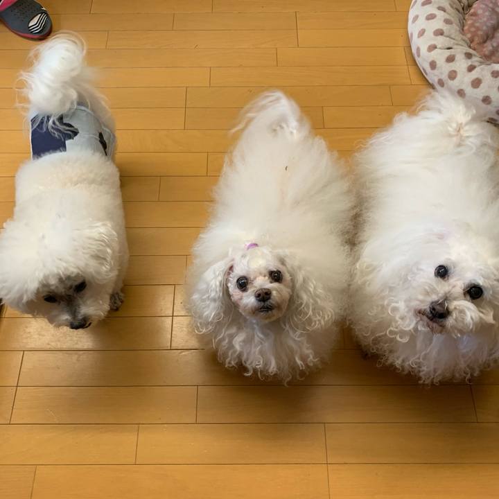 13455eeb 943f 4201 b1e2 a03177bdaf0b 1714376059056