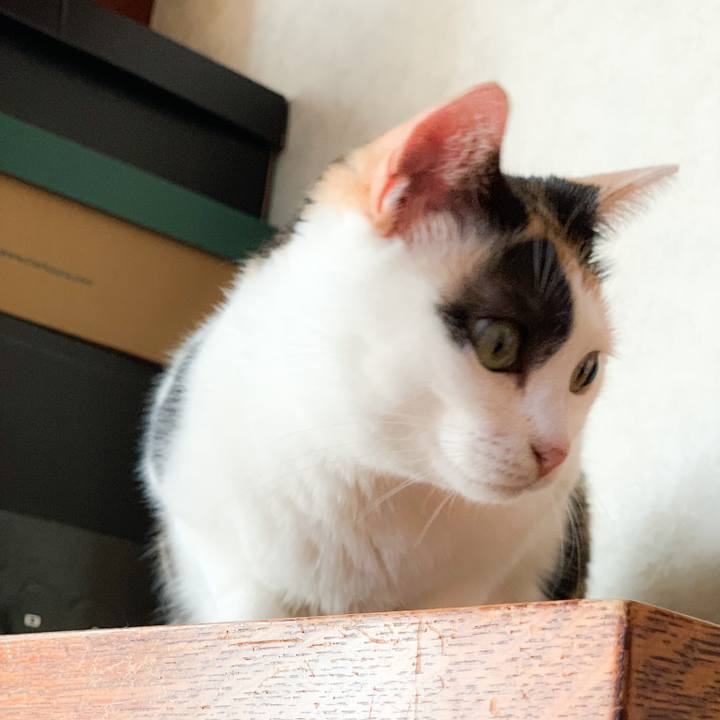 1345801d 8bc7 49b1 b634 51554bd29456 1574216729014