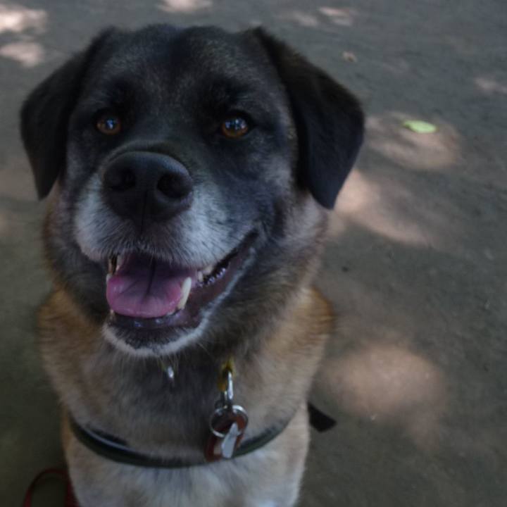 1345973d ef30 443c b460 2d9ef3092fd9 1577405245416