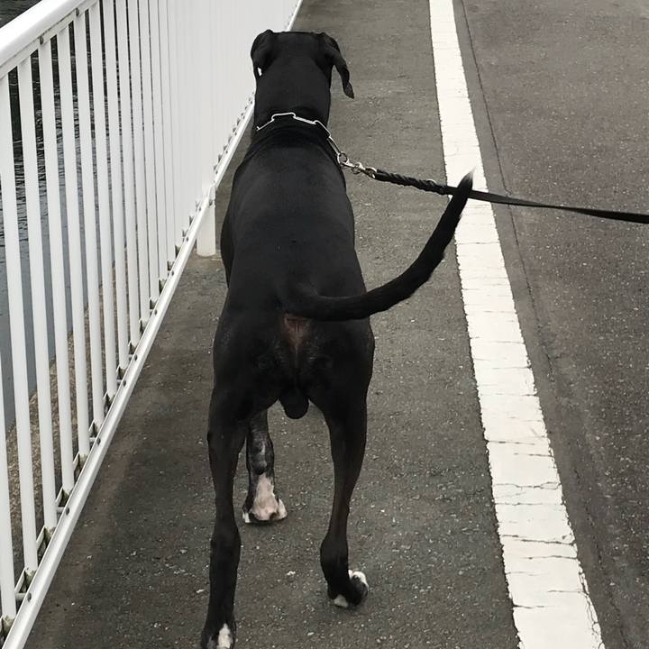 1345f804 8b22 4219 96ac 6ae841506176 1529713695040