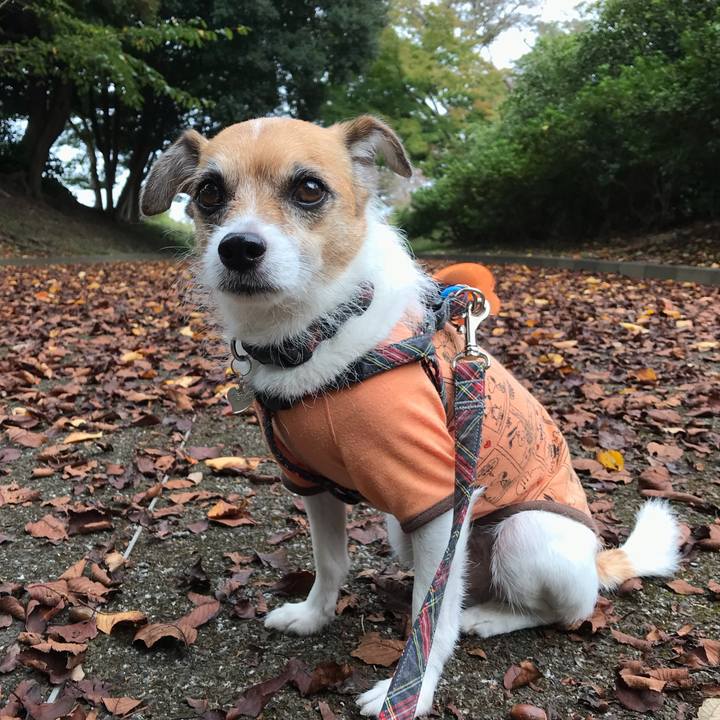 134601ab 0f69 49df 8446 465b10c4c0fd 1539675693384