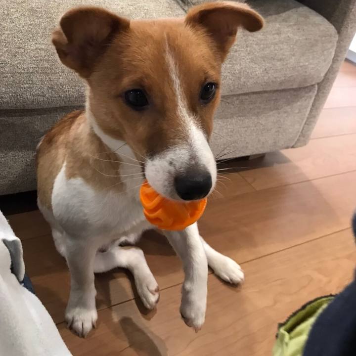 134608f9 805c 49f9 8751 5d6172a1aa89 1593750092734