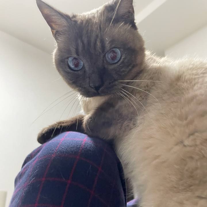 134650e5 be3d 4423 9a3a 5e2cc830b0a3 1776261563168