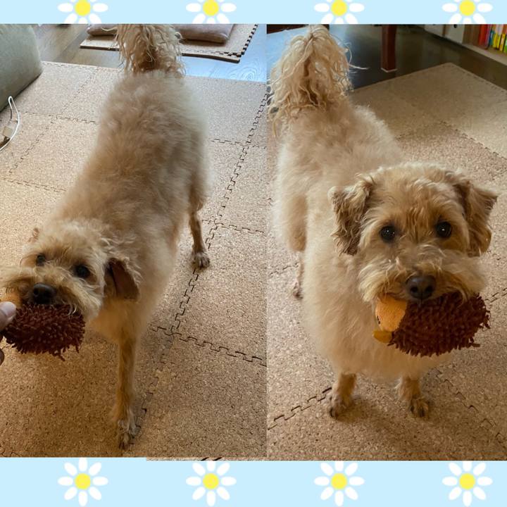 134653b1 0c11 4fcc bca4 a6afa110e450 1691452443363