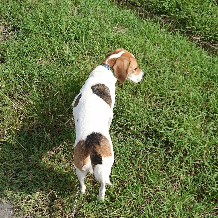 1346674b 4238 4b8b a150 17dc8b4f6807 1573037063550