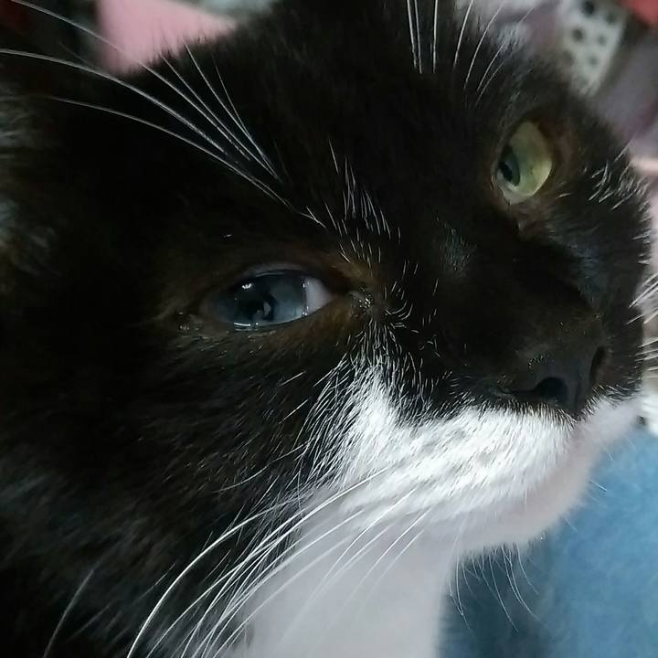 1346bb70 9660 4083 b5cf 447adaa436e3 1545022467297