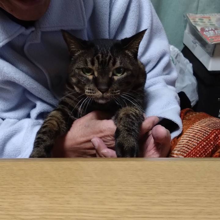 1346c087 00f6 4381 bf2d 229a08cb0227 1766405483517