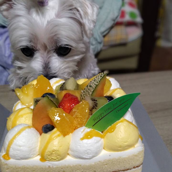 1346e96a 0f34 4473 b476 4aee138bb289 1755346832801