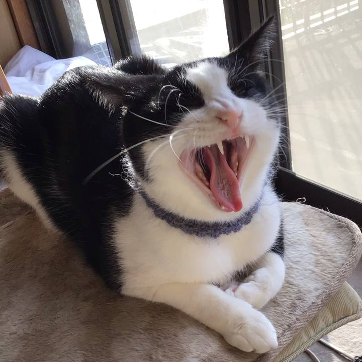 1346ed29 b0c0 416b b6fe 31d4e56e7cd5 1667093169576