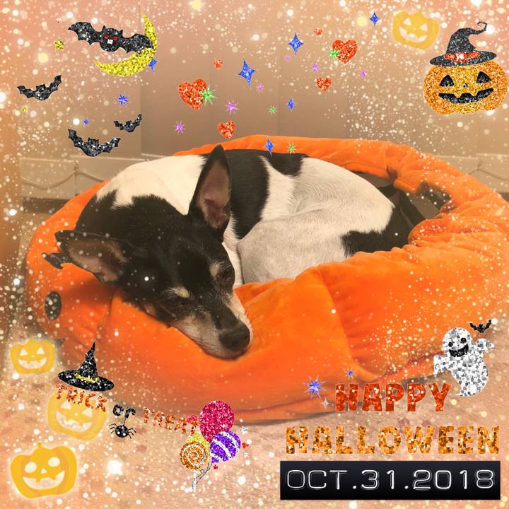 1346f424 2d63 43af 8a28 a67347574074 1541060852692