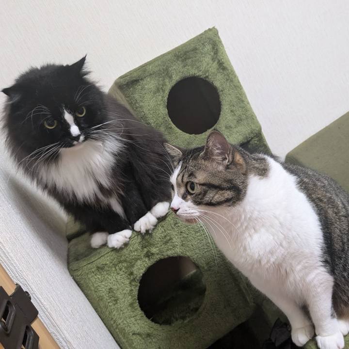 13470317 aa8b 4c48 a382 6405a564aabd 1722912708344