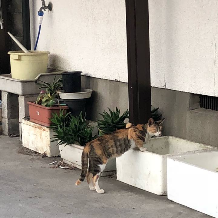 13470abc c76d 4fdf 8424 e82746dcf298 1532203223701