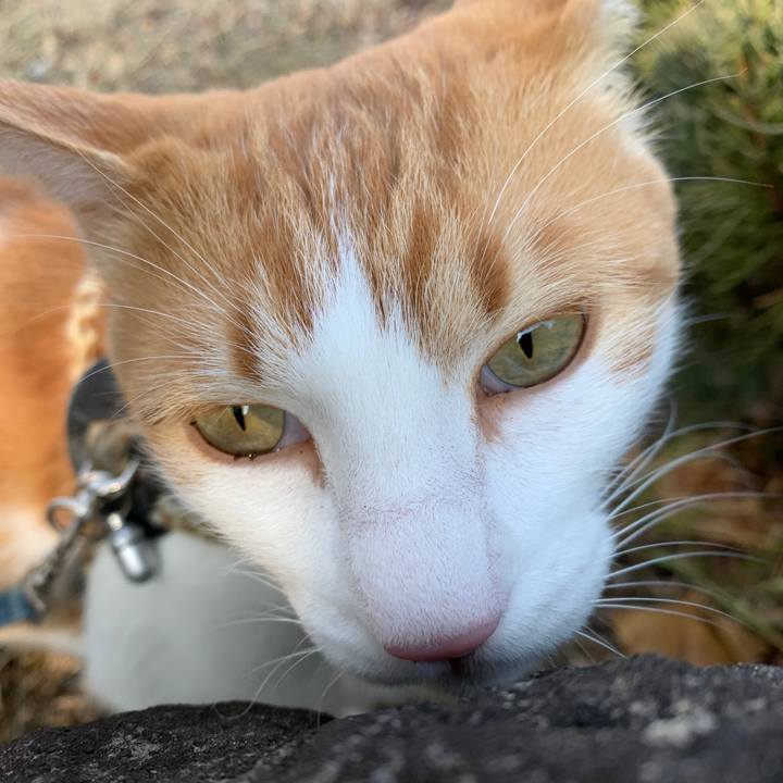 134733ba 58c4 4c22 b00f 0468815c3ab7 1612151520145