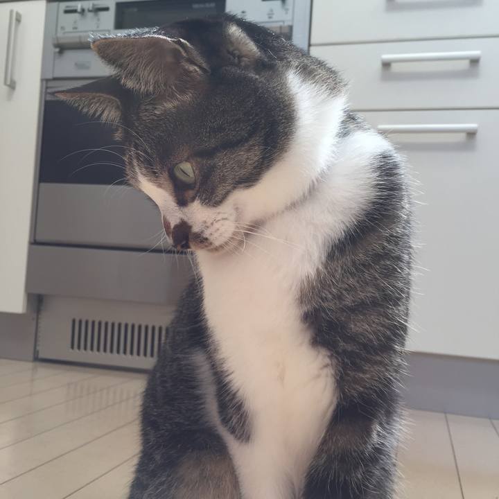 13474f03 e21d 4daf bf47 9811c93dafbc 1510023661892