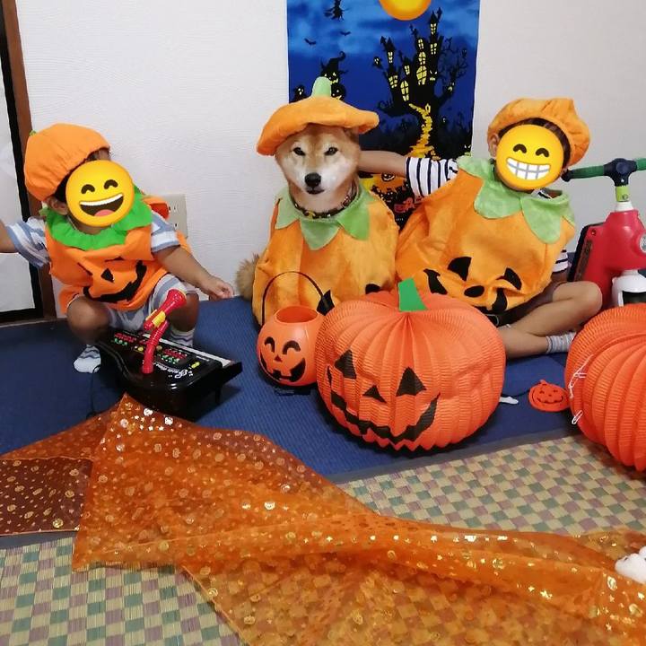 134763b7 fbc5 4d6e 9838 13f3cdc1a82e 1664702798142