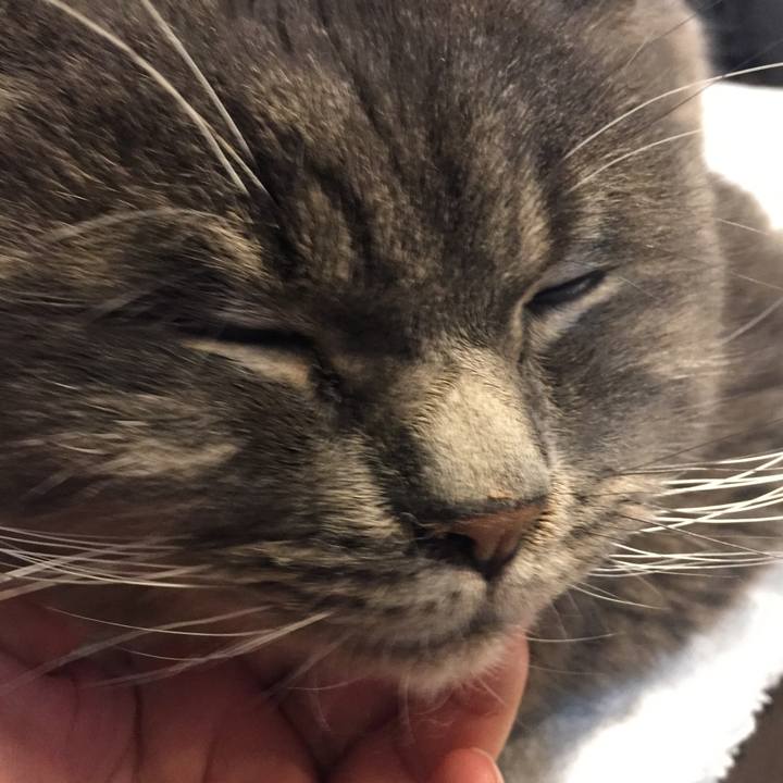 13478f21 3106 41fd a438 646ea0632485 1545437156974