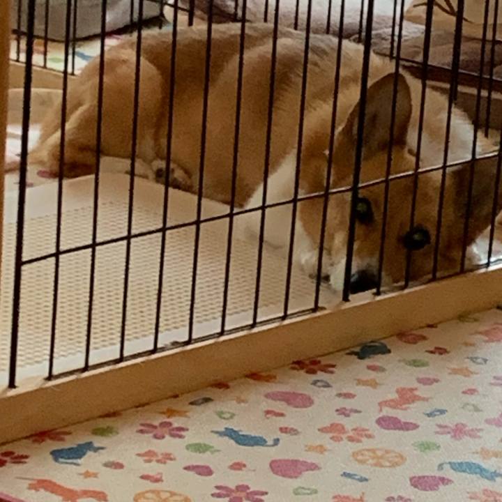 1347c3f3 9302 4250 a4be 3ed646054beb 1623199387903