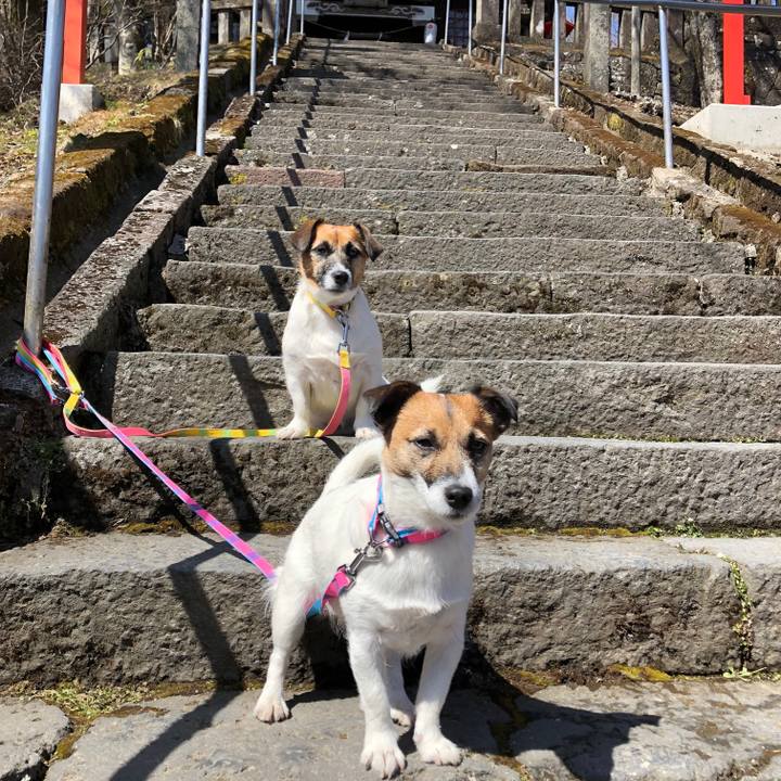 1347fa4e c155 4a42 a6d9 4443549d3997 1584591190833