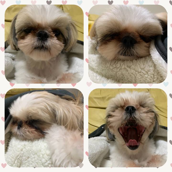 134877c4 0a8f 46de ab2b 837df48798f7 1612106457356