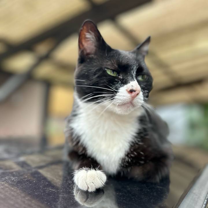 13489818 0916 4a9e bd87 244e1f192477 1720778025569