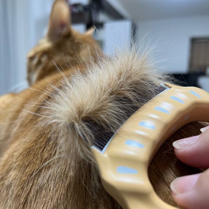 1348ca49 1d3c 4936 83bb 00e54009d543 1683070430509