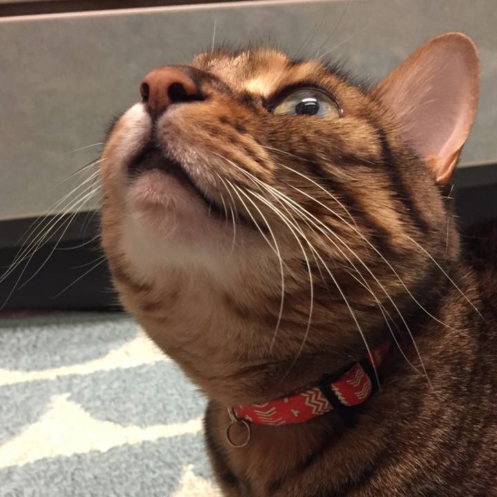 1348db9b ec07 47b8 9d00 0eed77bad21e 1522100713951