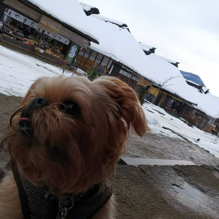 13492ae9 68bf 468f ada6 d006bbd8b48c 1514086647630