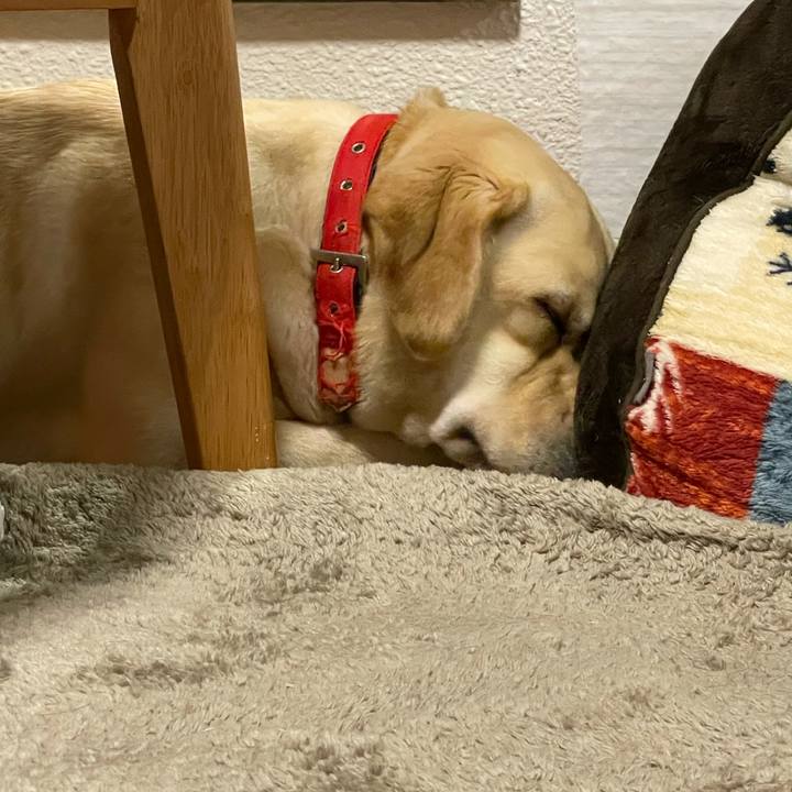 134931c1 f24a 48d6 b08b 69765d4d39ec 1624281140000